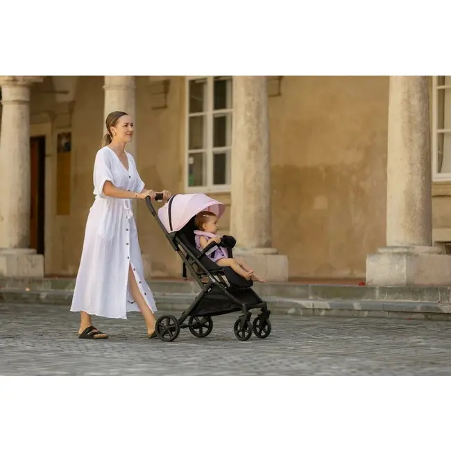 Carucior sport, FreeON, Tao, Pana la 22 Kg, 6.9 Kg, Cu maner pentru transport, Conform cu standardul european EN, Pink BYN82009