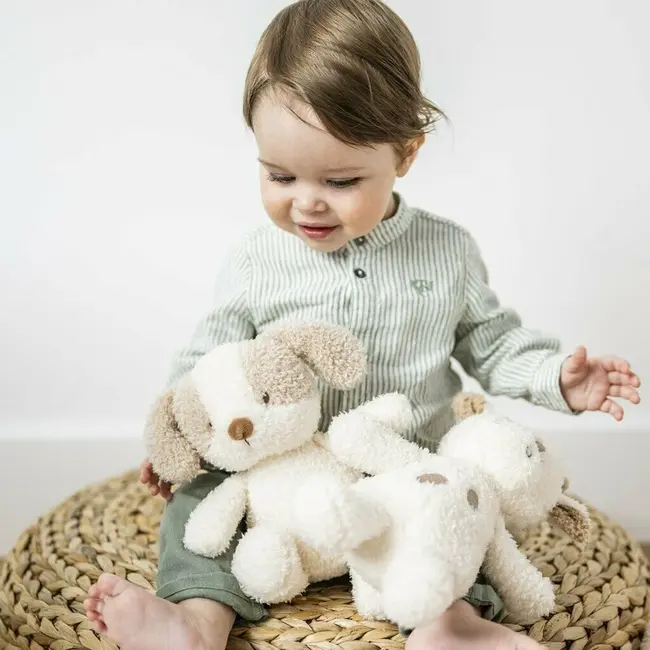 Jucarie plus bebelusi, Nattou, Baby Dog, 24 cm, Material moale si pufos, Prieten de joaca si mangaiere, Stimuleaza simtul tactil si motricitatea fina, 0 luni+, Bej BYN856317