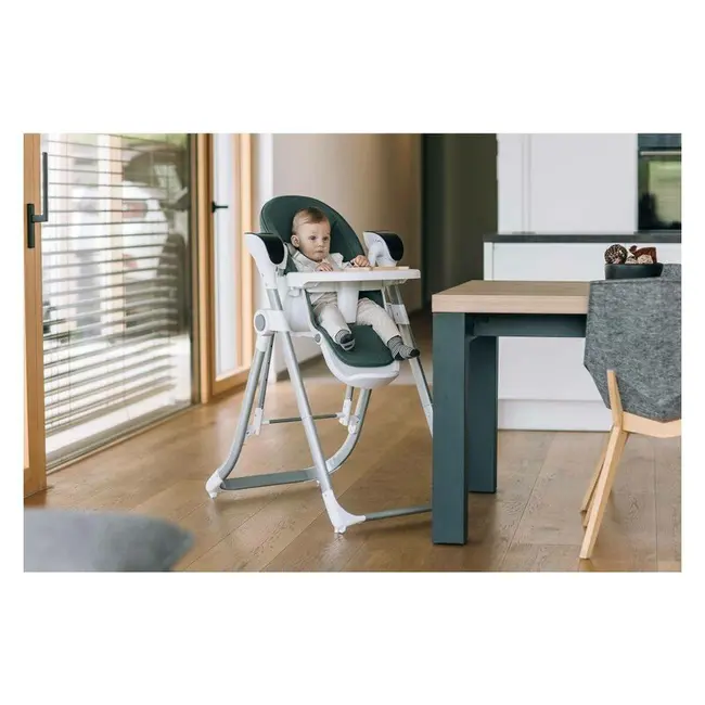 Scaun de masa si balansoar, FreeON, Oli Deluxe, 2 in 1, Transformabil, Multifunctional, Cu melodii de leagan, 0 luni+, Pistachio BYN82436