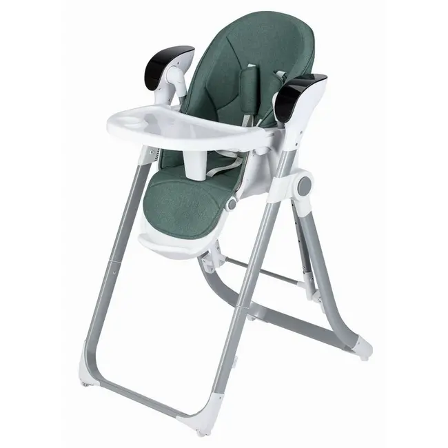 Scaun de masa si balansoar, FreeON, Oli Deluxe, 2 in 1, Transformabil, Multifunctional, Cu melodii de leagan, 0 luni+, Pistachio BYN82436