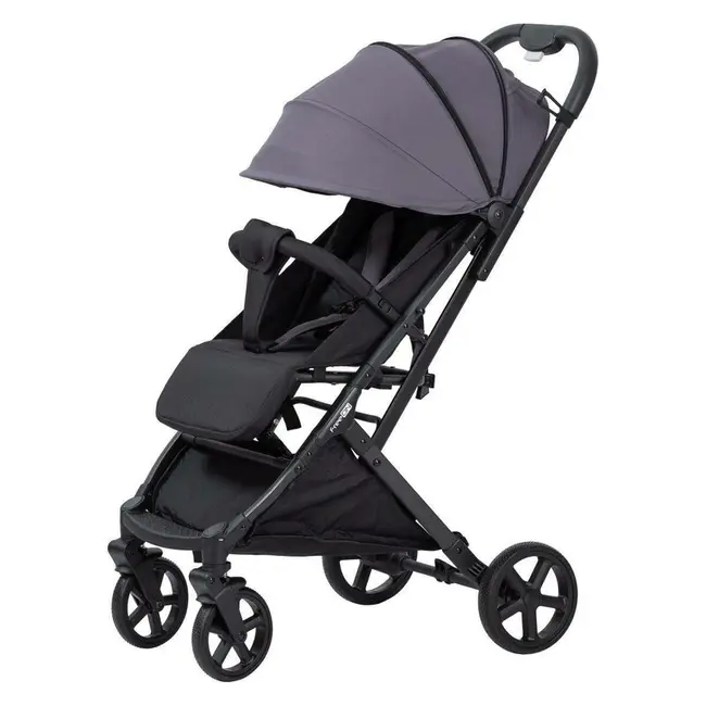 Carucior sport, FreeON, Tao, Pana la 22 Kg, 6.9 Kg, Cu maner pentru transport, Conform cu standardul european EN, Grey BYN88056