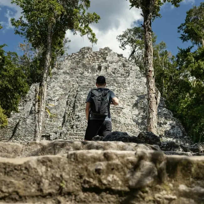 Rucsac pentru mamici, Petite&Mars, Jackob, Compartimentare multipla, Buzunare termoizolante si impermeabile si pentru laptop, Sistem prindere carucior, Include salteluta de infasat, 30 x 46 x 15 cm, Verde BYN510839