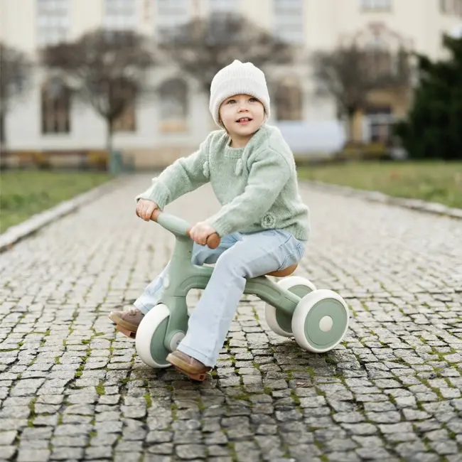 Bicicleta/tricicleta, Petite&Mars, 3 in 1, Multifunctionala, Cu/fara pedale, Ghidon directionabil, Sa reglabila pe inaltime, 2.3 kg, Pana la 25 kg, 12-36 luni, Verde BYN614877