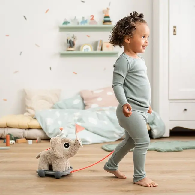 Jucarie Push Along 2 in 1 Done by Deer Elefant Sand