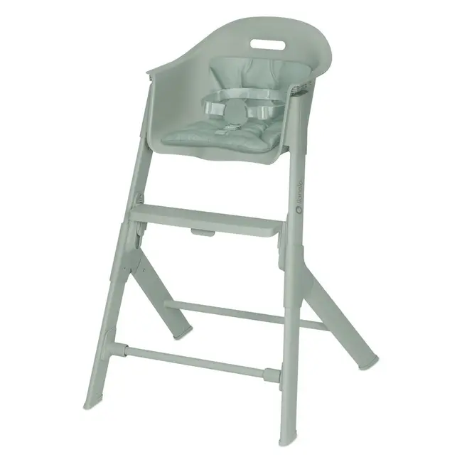 Scaun de masa, Lionelo, Beny, Suport de picioare si tavita ajustabile in 2 pozitii, Insertie moale, Centuri in 3 puncte, Asamblare rapida, Sustine 15 kg, 6 luni+, Verde BYNLO-BENY_GREEN_SAGE