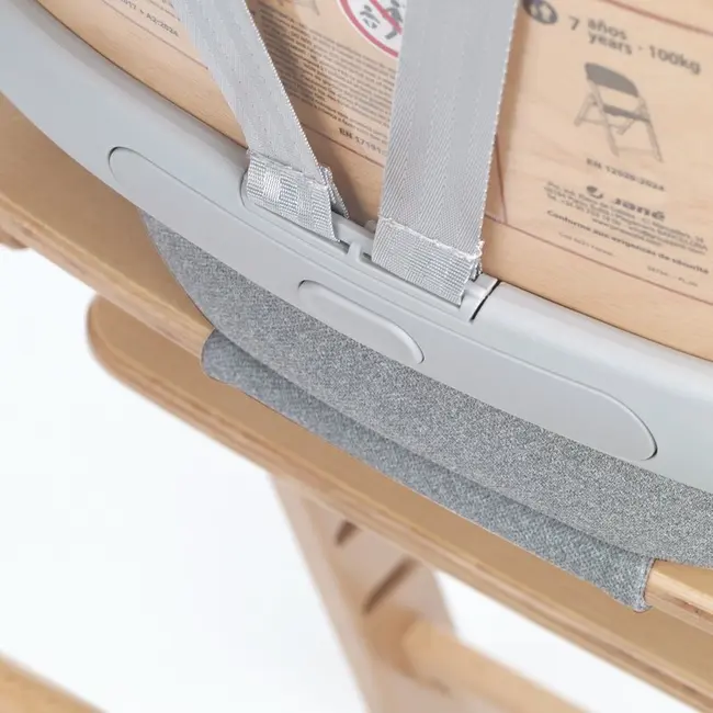 Scaun de masa multifunctional pliabil, Jane, Forest, De la 6 luni la adult, Din lemn fag, Greutate maxima 100 Kg, Mist BYN8420421094082