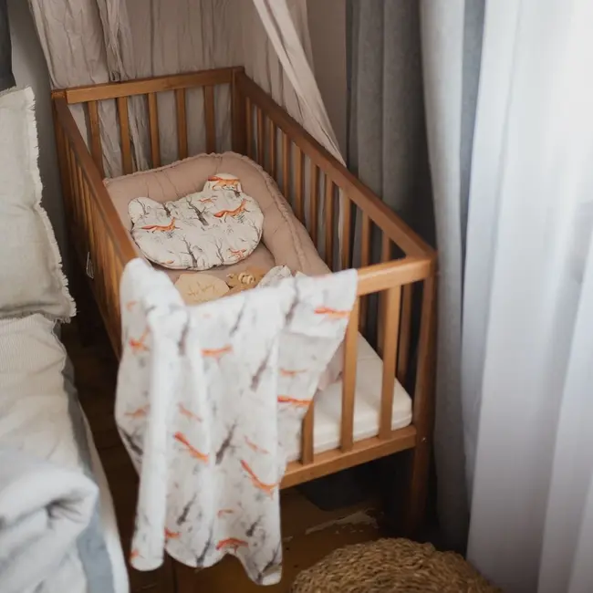Patut Mic, Co-sleeping Din Lemn, Classic Vintage Cu Saltea Cocos Spuma Cocos 90 X 40 X 7 Cm Pjbbedside_vintage