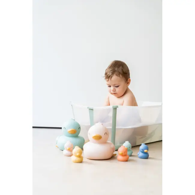 Set 5 Jucarii De Baie, Little Ducks Pjb369