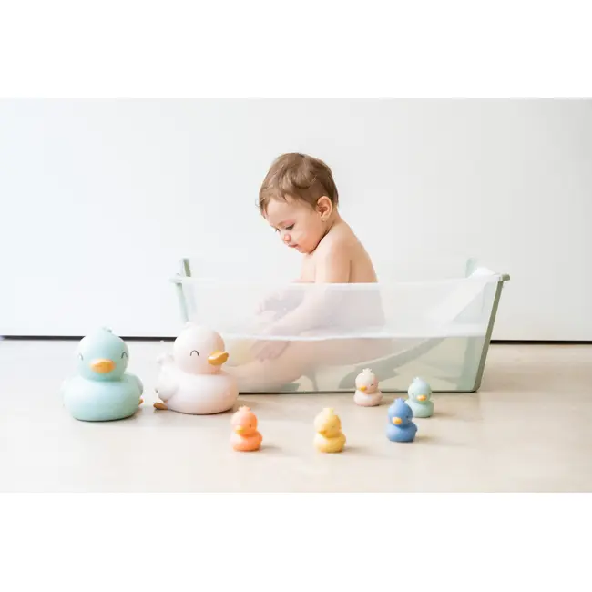 Set 5 Jucarii De Baie, Little Ducks Pjb369