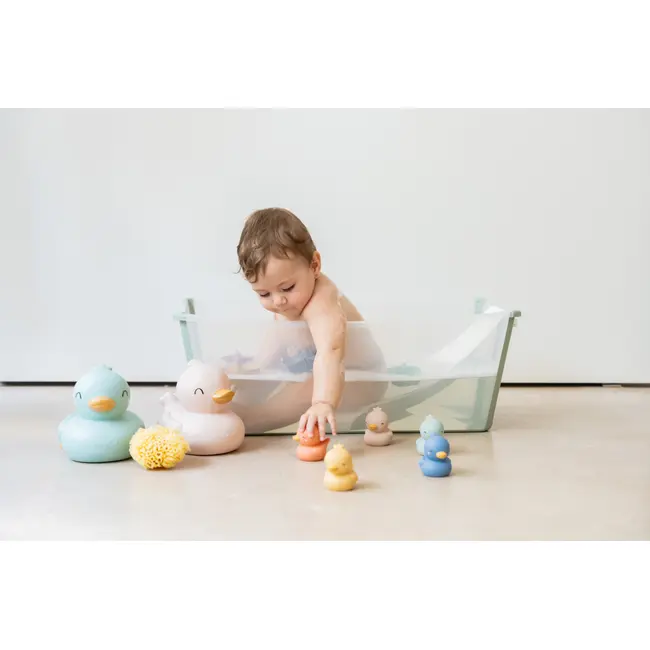 Set 5 Jucarii De Baie, Little Ducks Pjb369