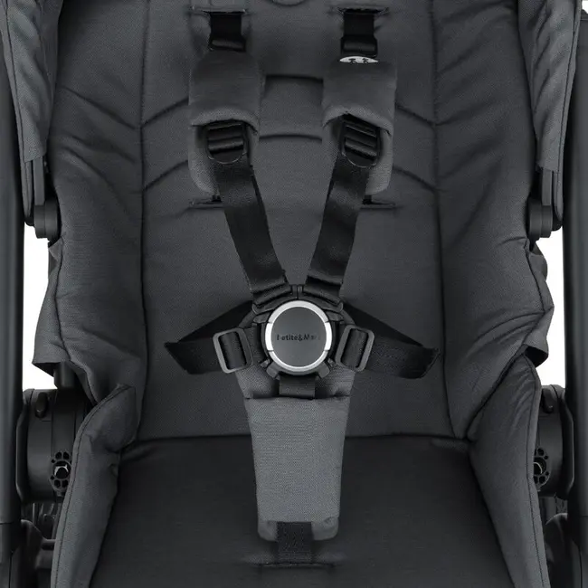 Carucior 2 in 1, Petite&Mars, Scout, Cu landou pliabil, Reversibil, Spatar si suport de picioare reglabile in 3 pozitii, Maner ajustabil, Cu accesorii, Pana la 22 kg, 0 luni+, Gri BYN555697