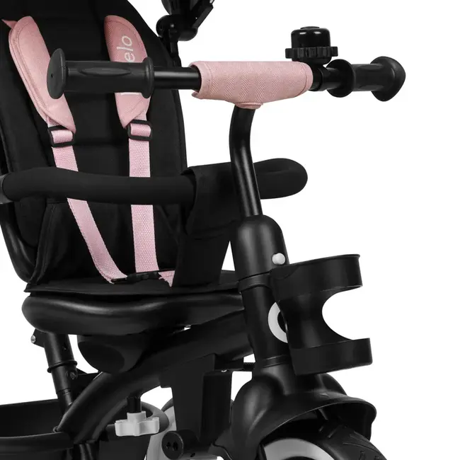 Tricicleta copii, Lionelo, Berry, 2 in 1, Multifunctionala, Suport picioare, Control al directiei, Scaun reversibil, Rotire 360 grade, Functie de roata libera, Utilizare pana la 5 ani, Constructie din otel, Conform cu standardul EN71, Roz BYNLO-BERRY_PINK