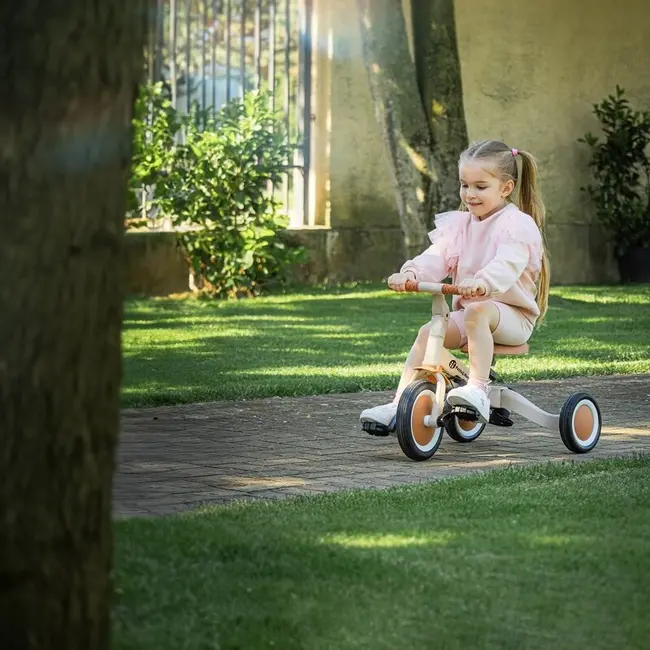 Tricicleta, Petite&Mars, Turbo, Editie limitata, 5 in 1, Multifunctionala, Vehicul de impins, Bicicleta cu/fara pedale, Cu maner de ghidaj, Detasabil, Roti din cauciuc, Pana la 25 kg, 1.5-5 ani, Dino Park BYN613383