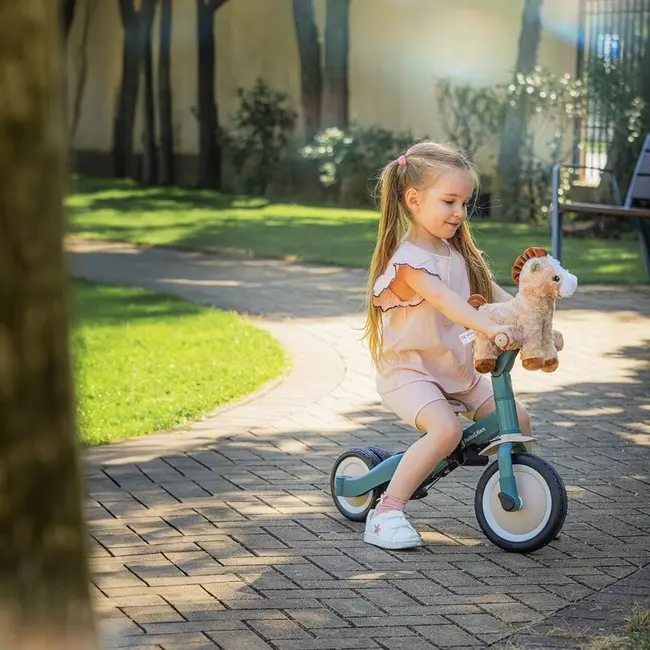Tricicleta, Petite&Mars, Turbo, Editie limitata, 5 in 1, Multifunctionala, Vehicul de impins, Bicicleta cu/fara pedale, Cu maner de ghidaj, Detasabil, Roti din cauciuc, Pana la 25 kg, 1.5-5 ani, Llama Vibes BYN613365