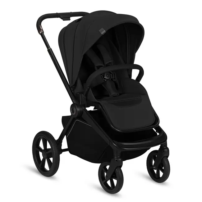 Carucior 2 in 1, Lionelo, Freya, Landou si salteluta ventilate, Pliabil, Reglare spatar-3 pozitii, Suport de picioare-4 pozitii, Maner reglabil-3 pozitii, Adaptori inclusi compatibili cu Cybex, Maxi-Cosi, Kiddy, Avionaut, Sustine 22 kg, 0luni+, Negru BYNL