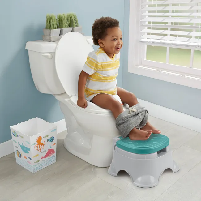 Olita pentru copii Fisher Price 3 in 1 Potty HUBS700470700