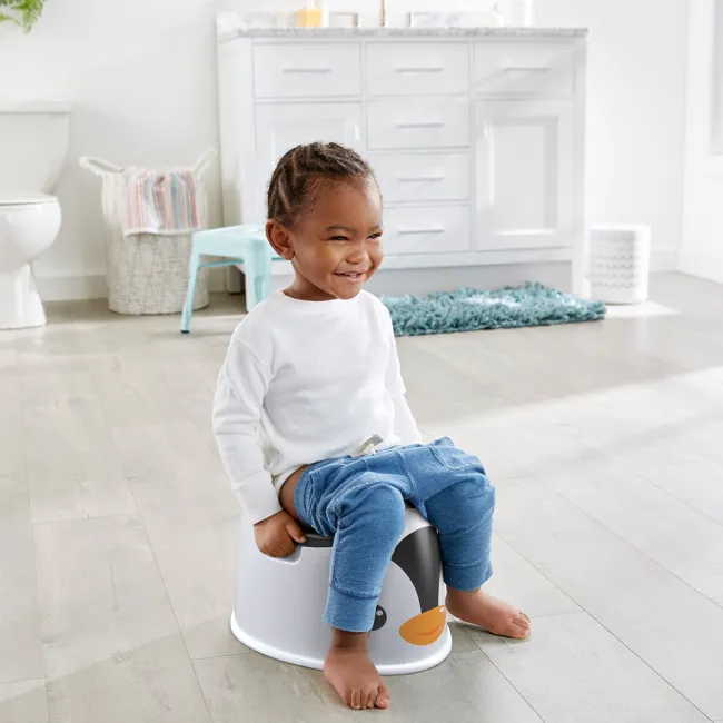 Olita pentru copii Fisher Price Penguin Potty HUBS700470777