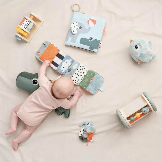 Carte moale pentru tummy time Done by Deer Deer Friends Multicolor