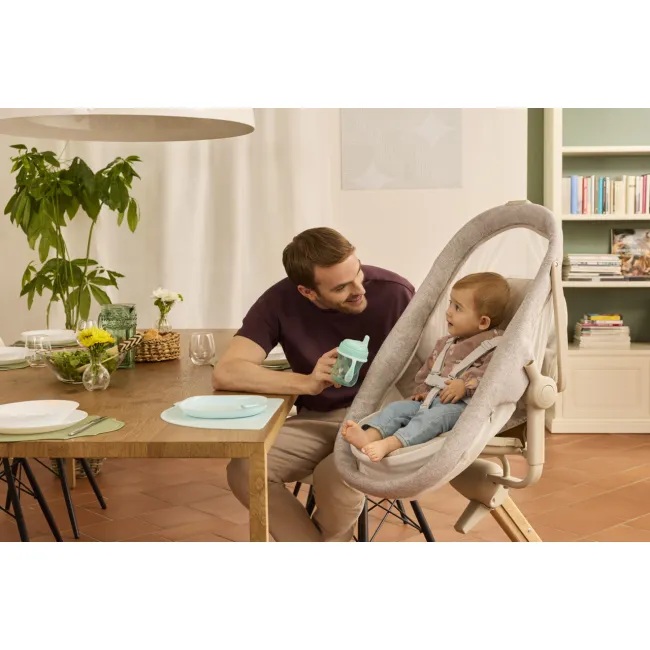 Cosulet multifunctional 4 in 1 Chicco Baby Hug Armonia, MotherPearl (Bej), 0 luni+ CHC8715784-8