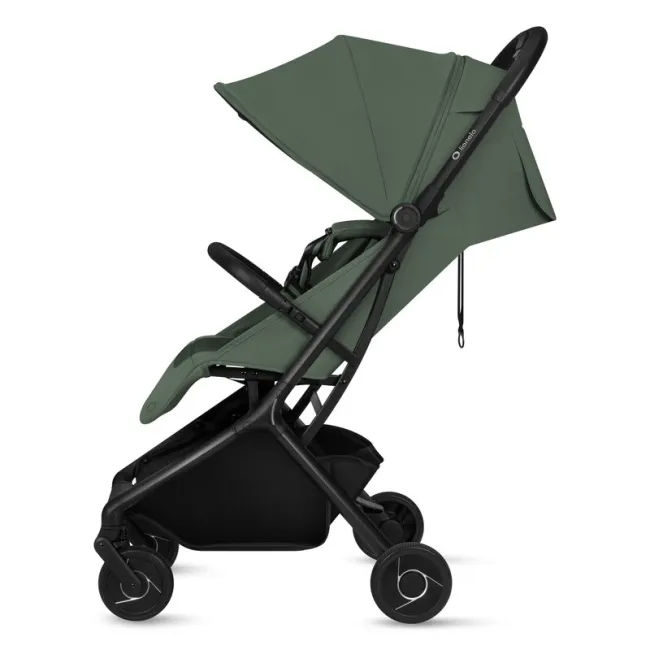 Carucior 2 in 1, Lionelo, Sia Flex, 7.6 kg, Include landou pliabil pe cadru, Ultracompact, Pliere rapida cu o mana, Copertina UPF50+, Cu accesorii incluse, 0-48 luni, Sustine 22 kg, Verde BYNLO-SIA_FLEX_GREEN_EMERALD