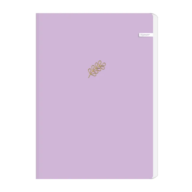 Caiet Ilijanum, A5, 96 file, 70 g/mp, dictando, soft touch BPTCCI021108