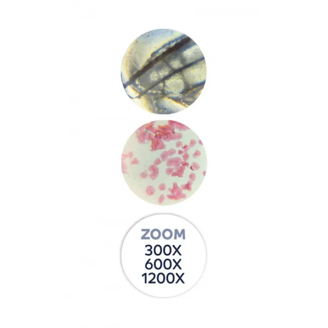 Microscop 40 experimente bkmr800