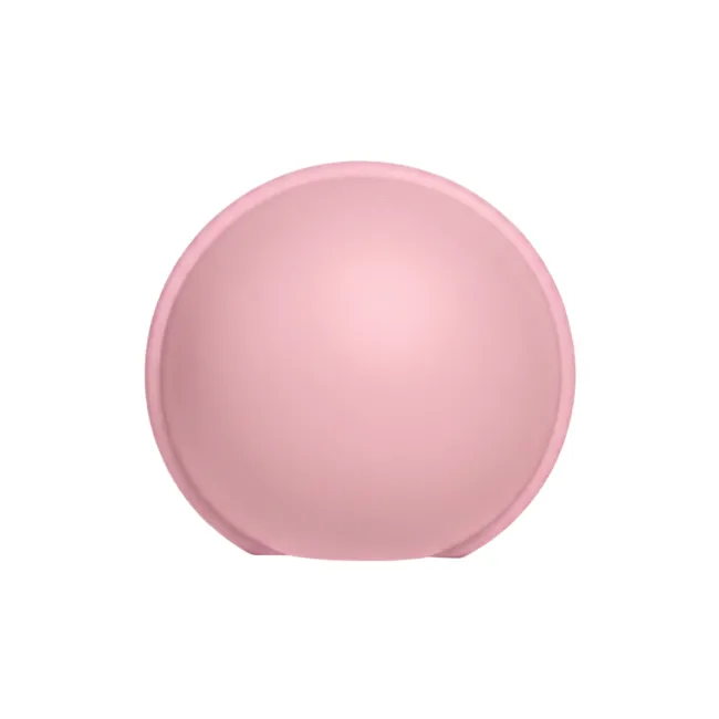 Bibs - cutie pentru suzeta pacifier case mini, baby pink bbb4220234