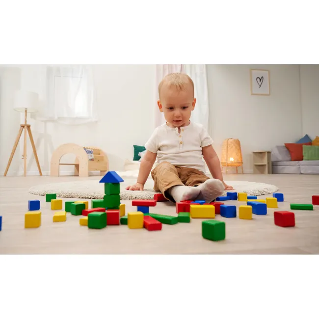 Set constructie Eichhorn Colored Wooden Blocks 50 piese HUBS100007700