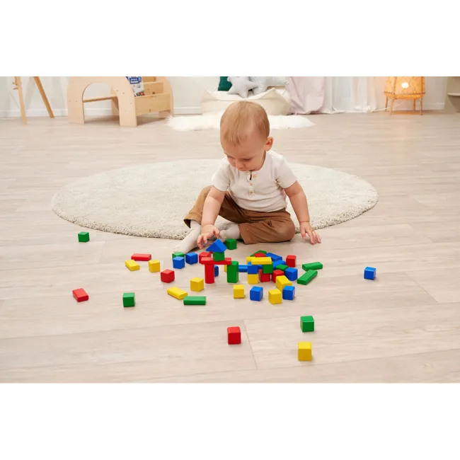 Set constructie Eichhorn Colored Wooden Blocks 50 piese HUBS100007700