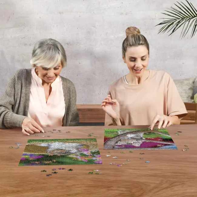 Ravensburger - Puzzle pisicute 2x500 piese - ARTRVSPA00232