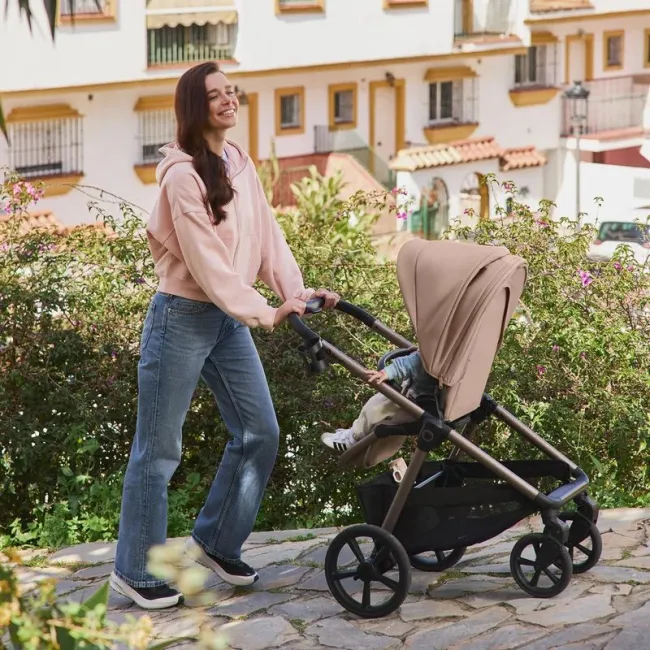 Carucior 2 in 1, Lionelo, Carmine, Parte sport si Landou anti-reflux, Salteluta ventilata, Reglare spatar, Suport de picioare, Maner reglabil, Sustine 22 kg, Cu accesorii, 0 luni+, Gri BYNLO-CARMINE_2IN1_GREY_STONE