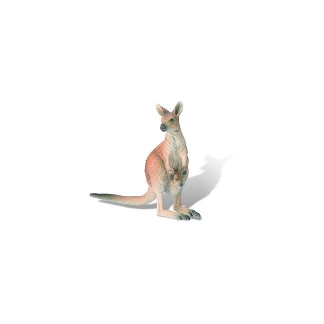 Cangur - NCR13322056