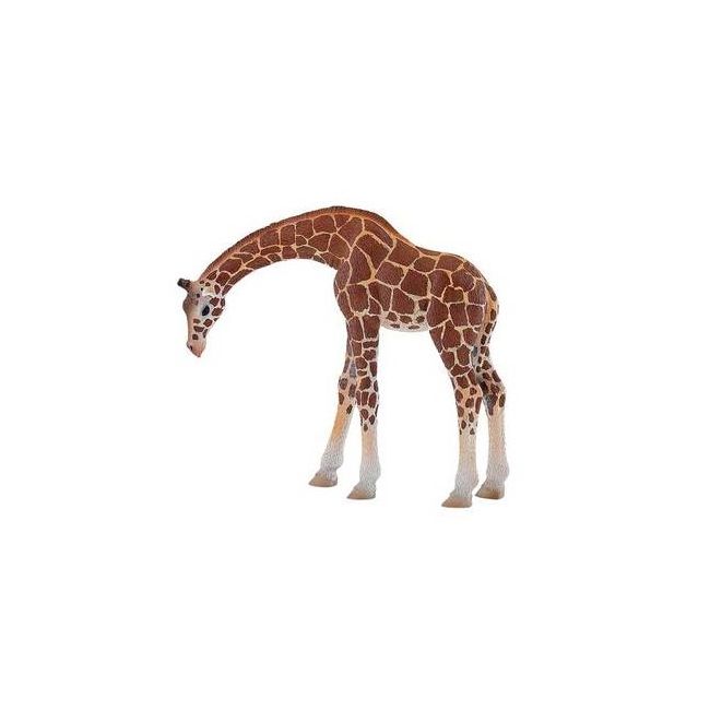 36688 - Figurina girafa - MAGICA - NCR13322541