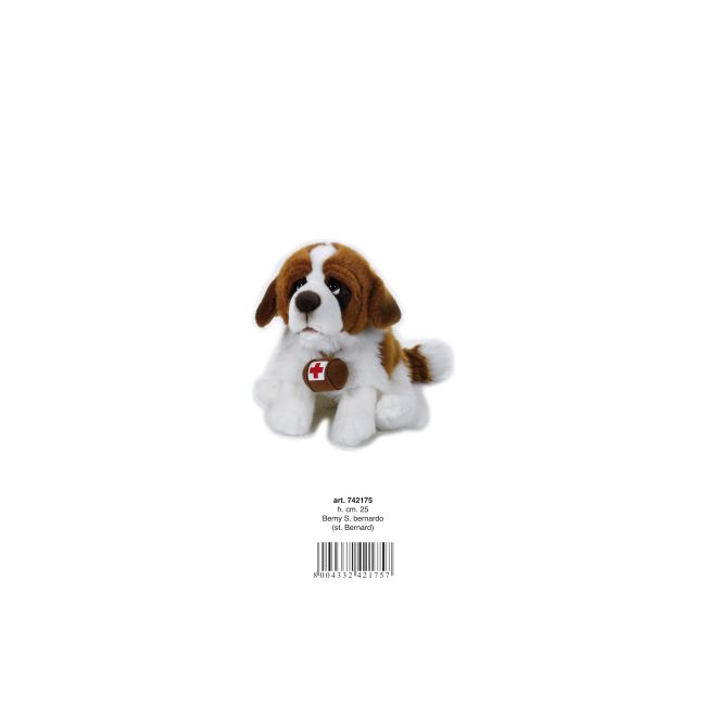 CATEL de Plus Saint Bernard sezand 25 cm VRNAV742175
