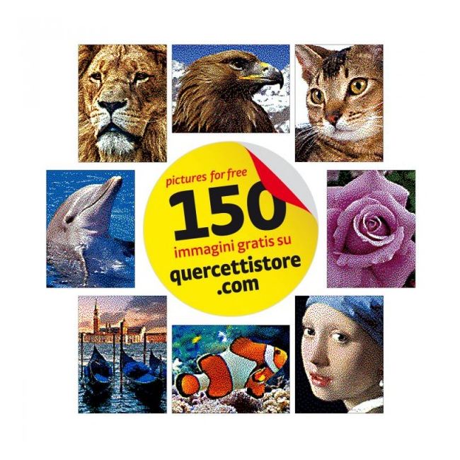 Set creativ pentru copii Pixel Photo Art 16 Quercetti - SOLQ0843