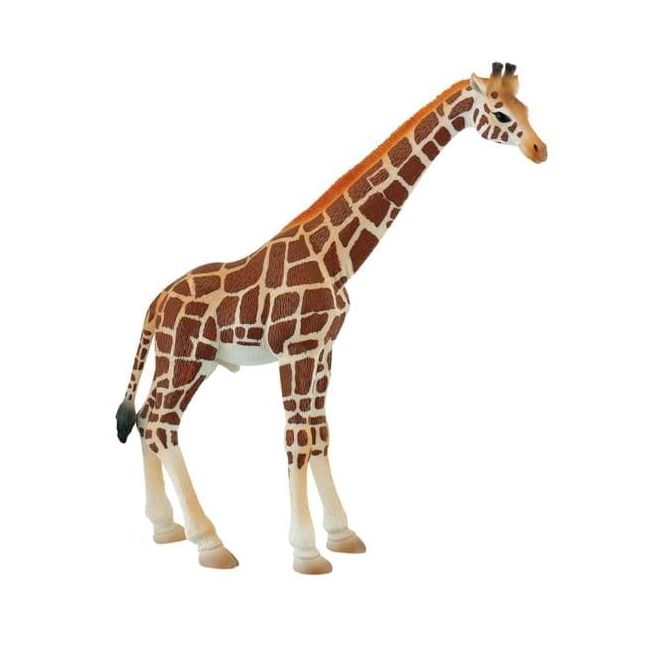 Girafa mascul - BL4007176637104