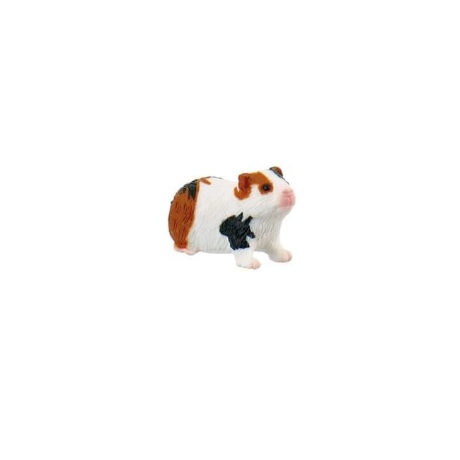Porcusor de Guinea - BL4007176646137