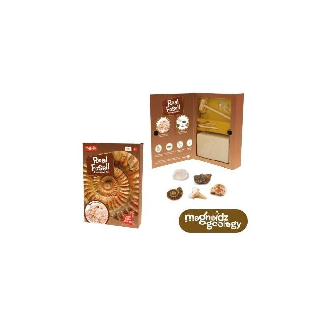 Kit paleontologie - descopera fosile