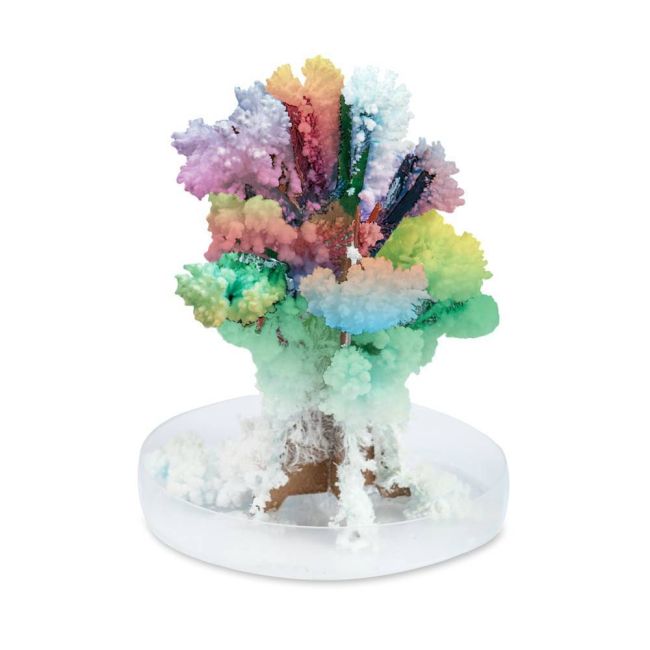 Horrible science: cristale ciudate