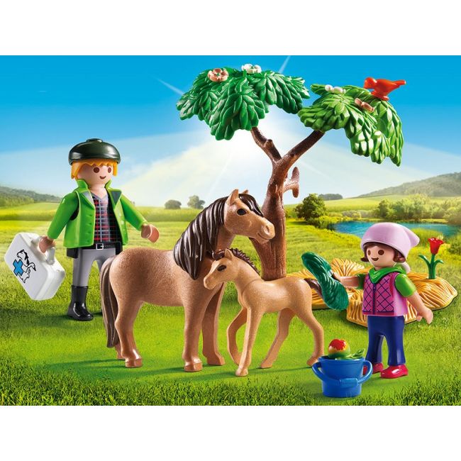Veterinar Cu Ponei Si Manz - ARTPM6949