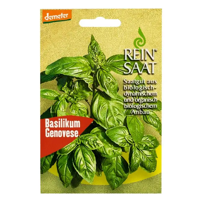 REIN SAAT - Seminte bio de busuioc pentru rasad - PRNBG213944