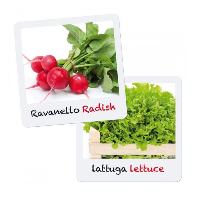 Set creativ pentru copii Gioca Green plantare si crestere Salata Ridiche Quercetti - SOLQ0680