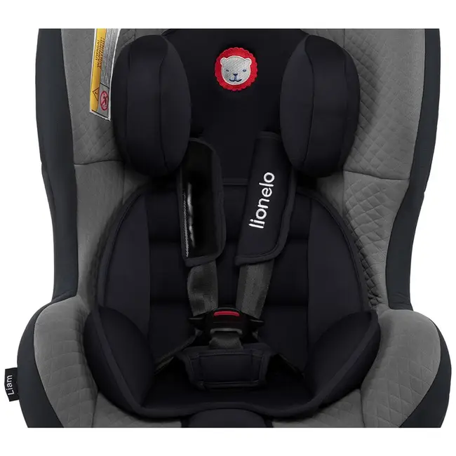 Lionelo - Scaun auto copii 0-18 Kg Liam, Cozy Grey - BYNLO-LIAM COZY_GREY