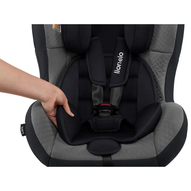 Lionelo - Scaun auto copii 0-18 Kg Liam, Cozy Grey - BYNLO-LIAM COZY_GREY