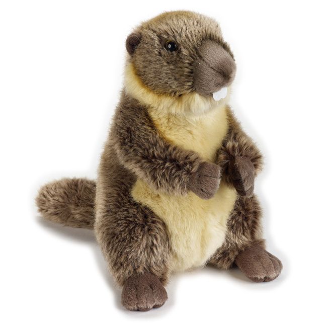 Plus National Geographic MARMOTA  25cm VRNAV770871