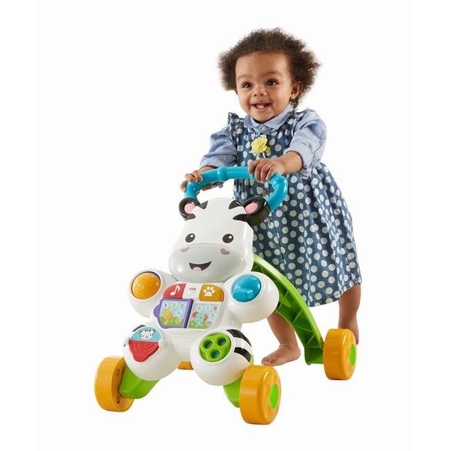 ANTEPREMERGATOR ZEBRA FISHER PRICE VIVMTDLD80