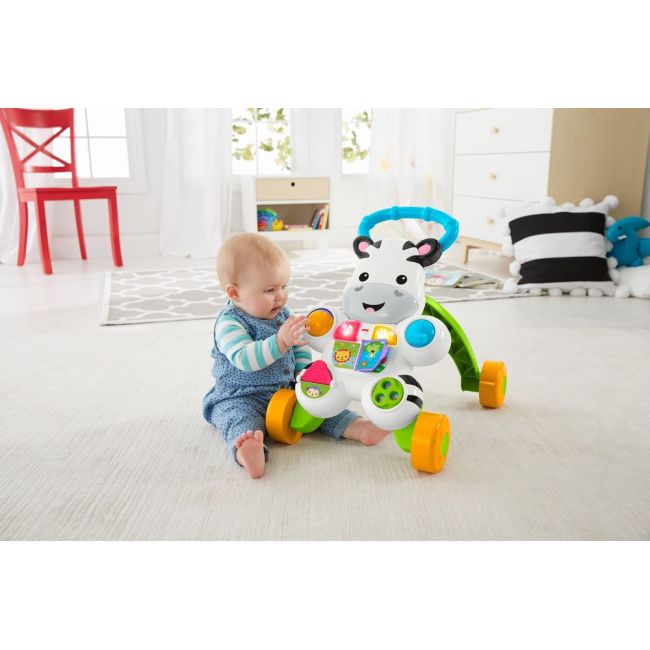 ANTEPREMERGATOR ZEBRA FISHER PRICE VIVMTDLD80