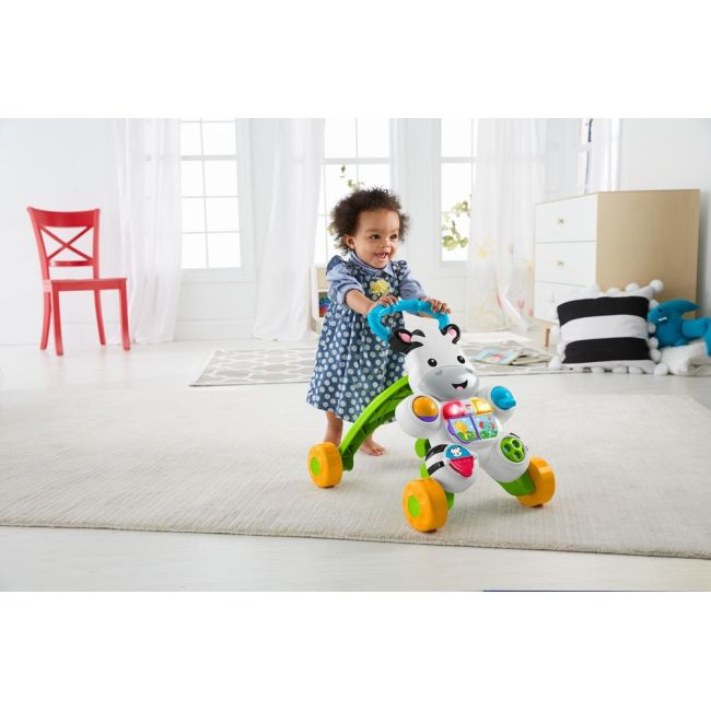 ANTEPREMERGATOR ZEBRA FISHER PRICE VIVMTDLD80