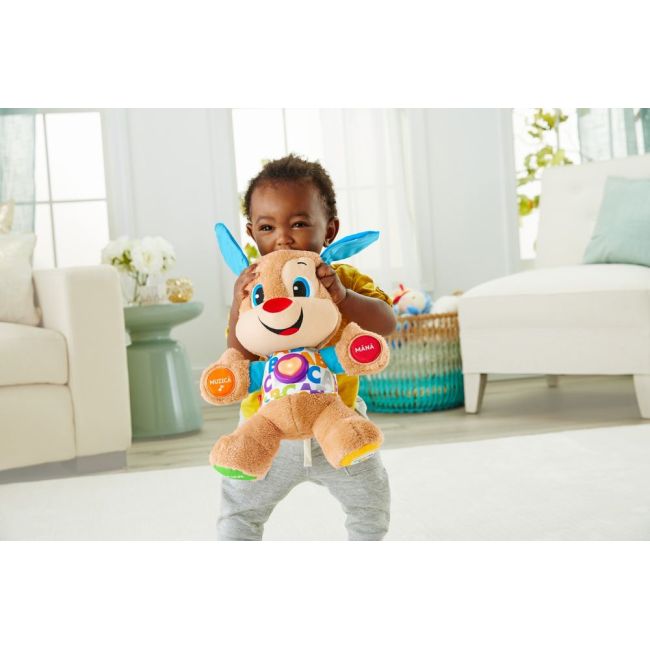 CATELUSUL VORBITOR SI EDUCATIV LIMBA ROMANA FISHER PRICE VIVMTFPN99