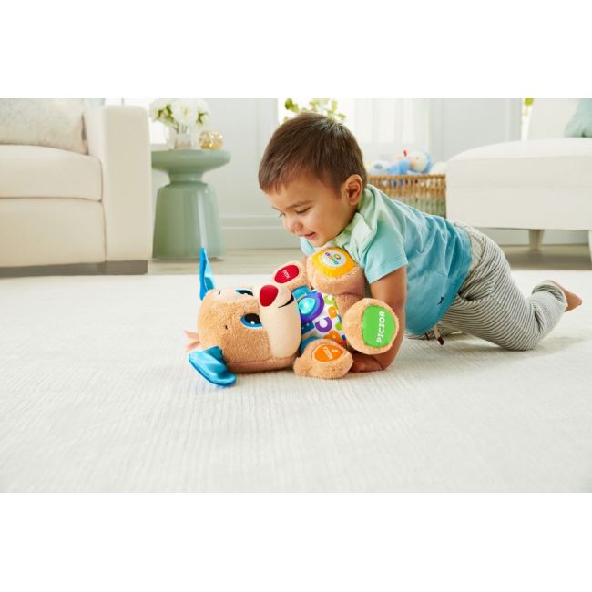 CATELUSUL VORBITOR SI EDUCATIV LIMBA ROMANA FISHER PRICE VIVMTFPN99